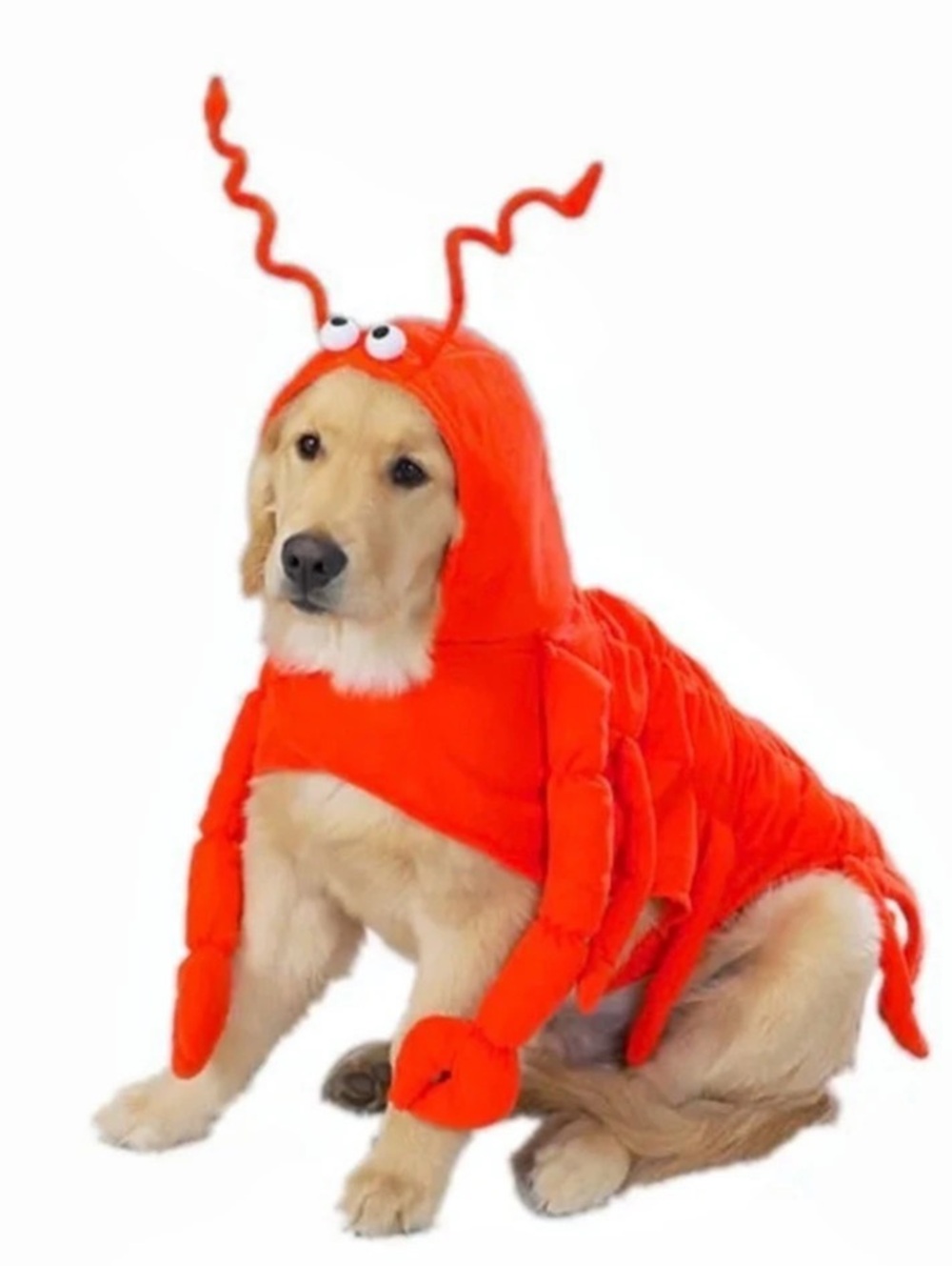 Dog Lobster Costume -XL